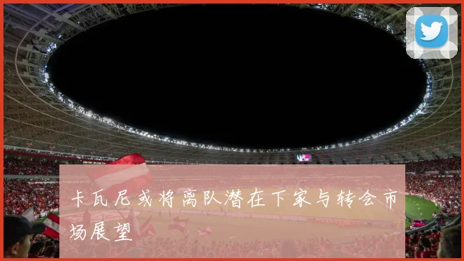 卡瓦尼或将离队潜在下家与转会市场展望