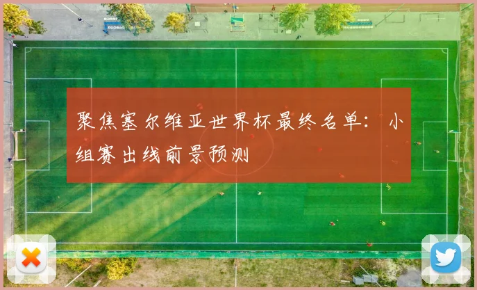 聚焦塞尔维亚世界杯最终名单：小组赛出线前景预测